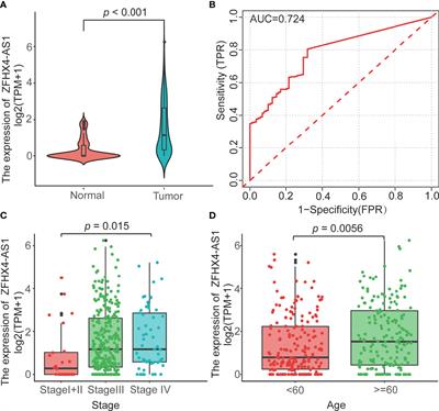 Novel LncRNA ZFHX4-AS1 as a Potential Prognostic Biomarker That Affects the Immune Microenvironment in Ovarian Cancer